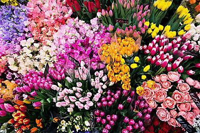 《我们之中》将出席TGA 带来游戏最新资讯