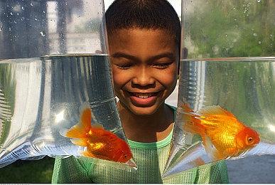 未售先火！《庄园领主》Steam愿望单超300万