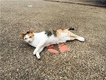 《A Silent Desolation》Steam页面上线 末世科幻探索